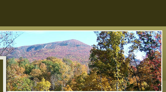 North Carolina Cabins