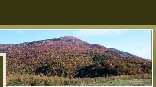 North Carolina Mountain Cabins