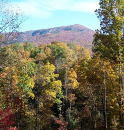 North Carolina Mountain Property